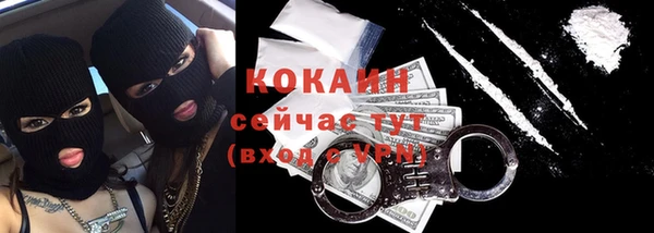 бошки Алексин